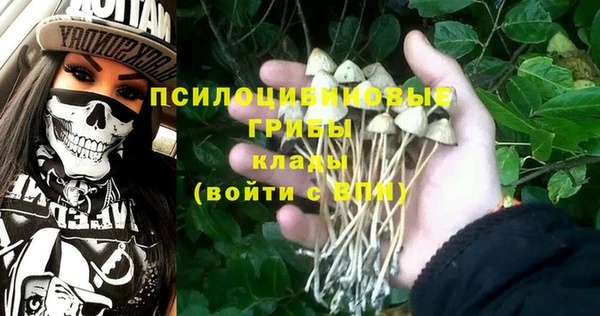PSILOCYBIN Богородицк