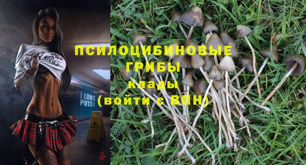 PSILOCYBIN Богородицк