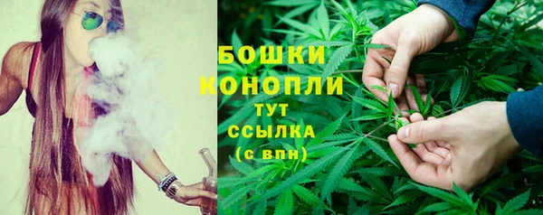 PSILOCYBIN Богородицк