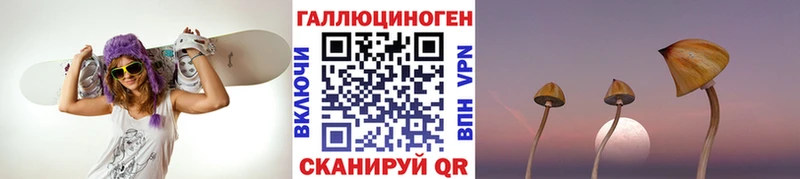 Галлюциногенные грибы Psilocybe  darknet состав  Канаш  купить наркотик 